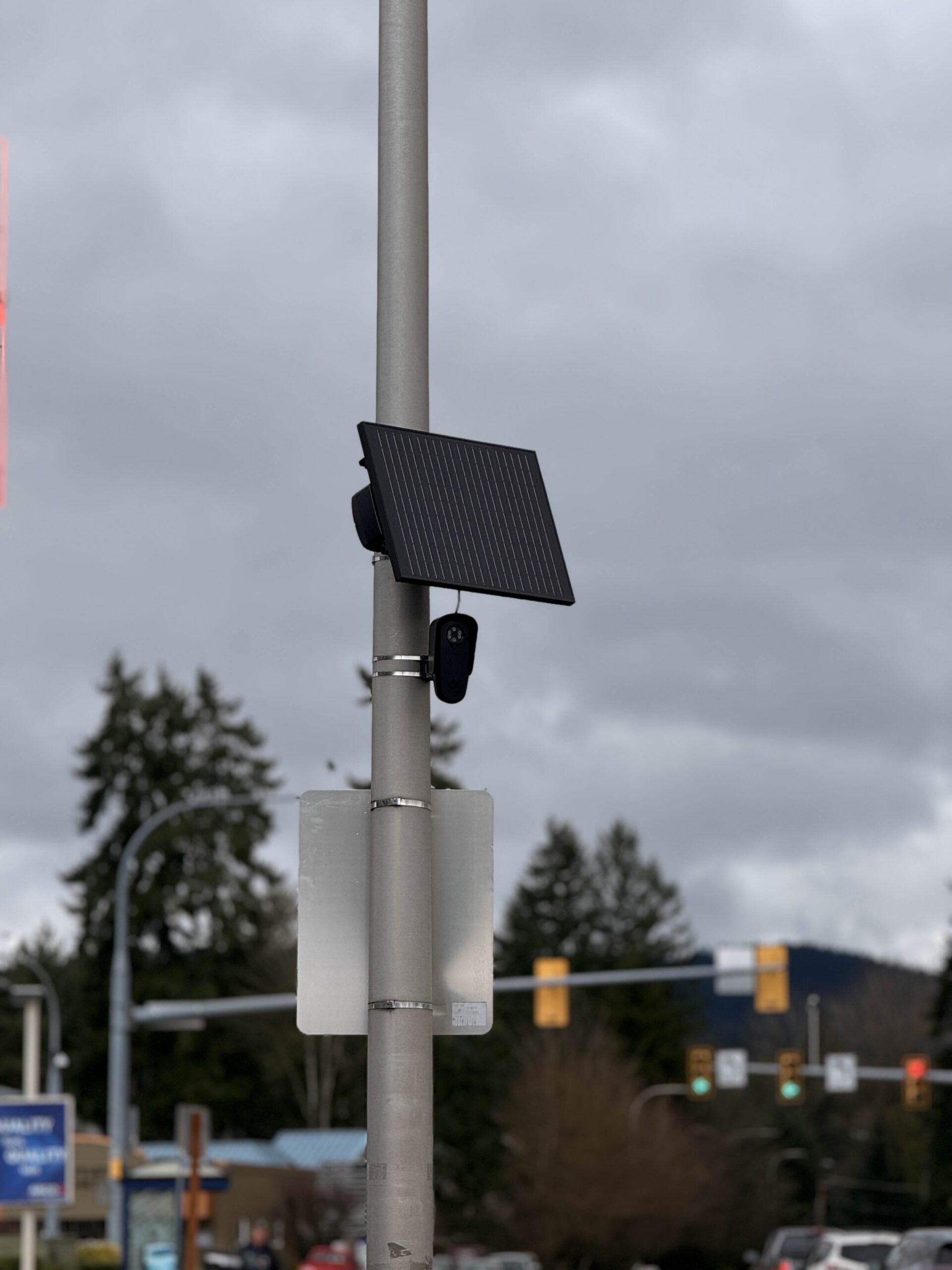 Council Considers Pausing Flock Cameras, Refers Matter to Public Safety